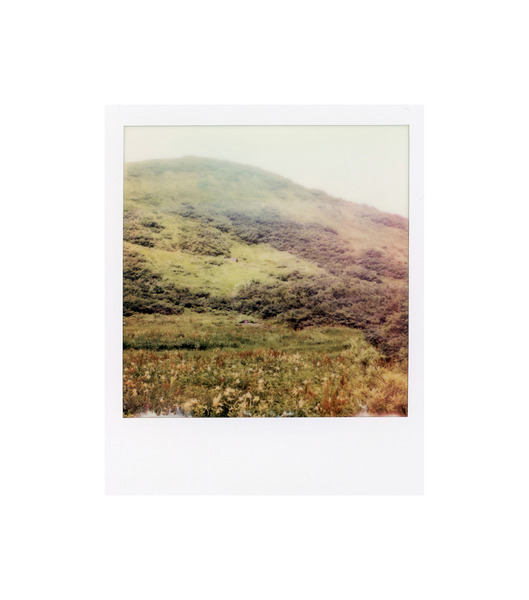 pola02 #4/100